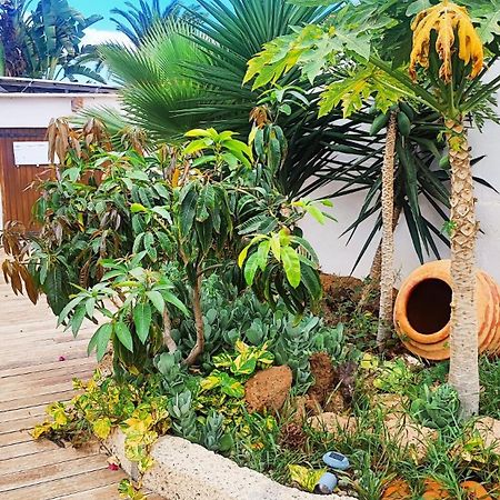 ארונה Beautiful Chalet With Wifi And Free Parking מראה חיצוני תמונה