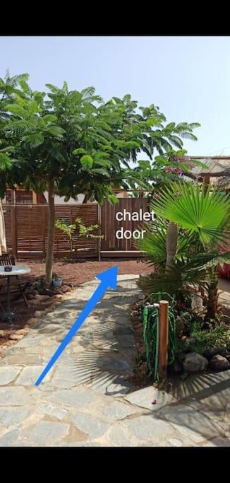 ארונה Beautiful Chalet With Wifi And Free Parking מראה חיצוני תמונה