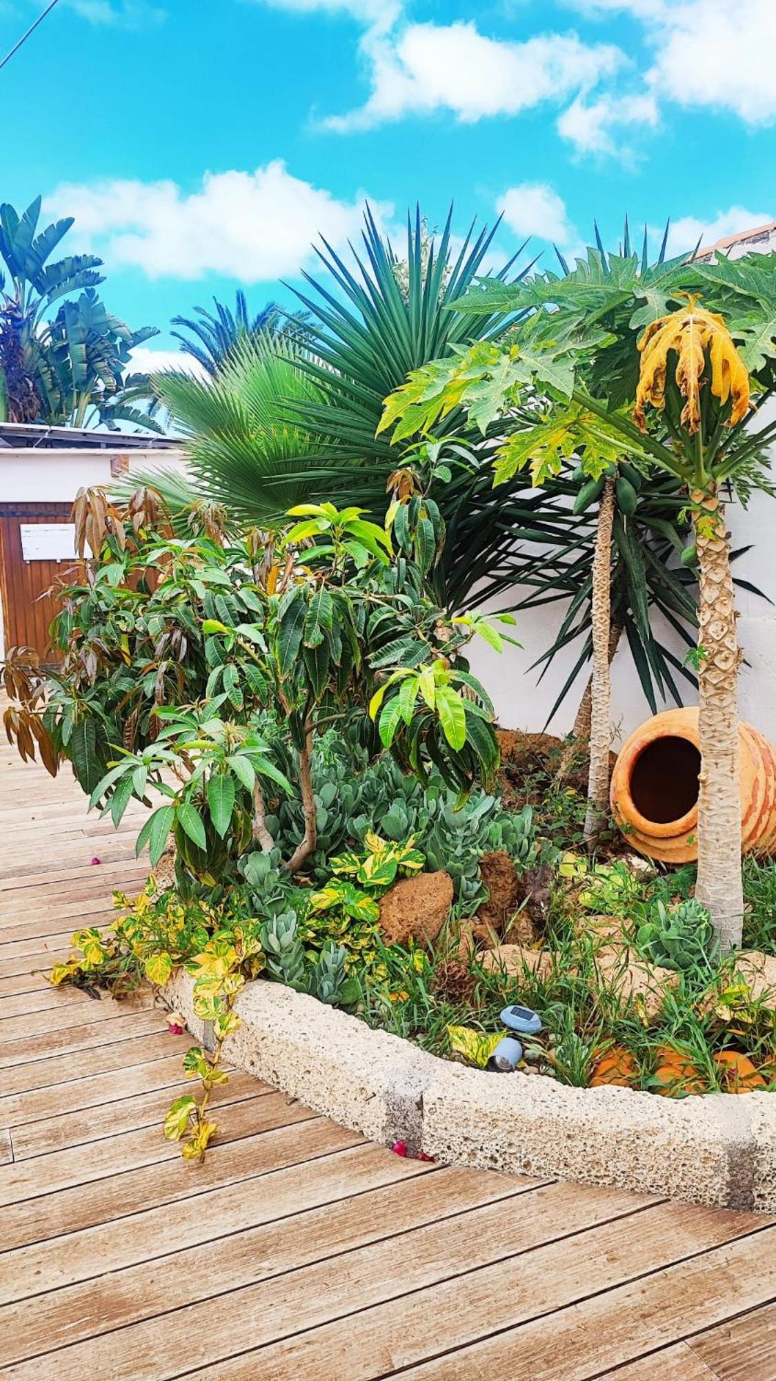 ארונה Beautiful Chalet With Wifi And Free Parking מראה חיצוני תמונה
